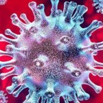 corona vírus