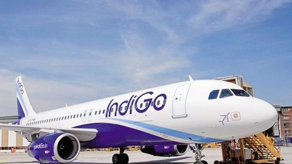 indigo